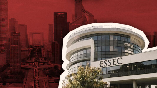 À l’Essec, la filière conseil fait le plein