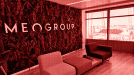 International, intégration… : l’agenda de Frédéric Petit chez Meogroup